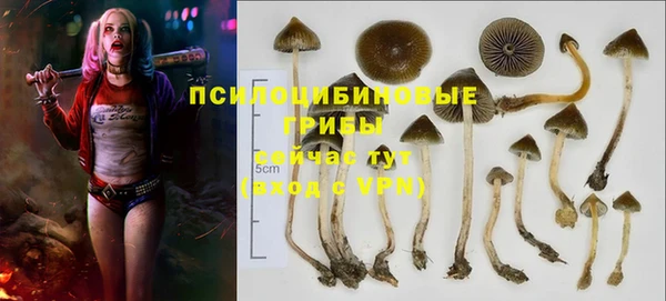 ПСИЛОЦИБИНОВЫЕ ГРИБЫ Зеленокумск