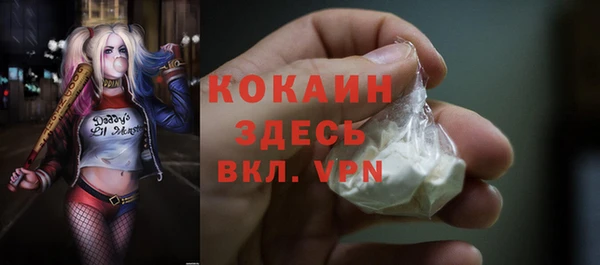 сатива Михайлов