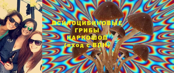 ПСИЛОЦИБИНОВЫЕ ГРИБЫ Зеленокумск