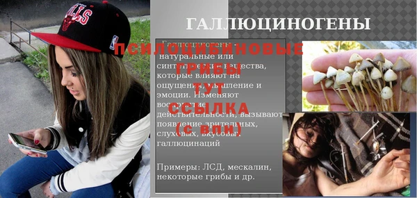 ПСИЛОЦИБИНОВЫЕ ГРИБЫ Зеленокумск