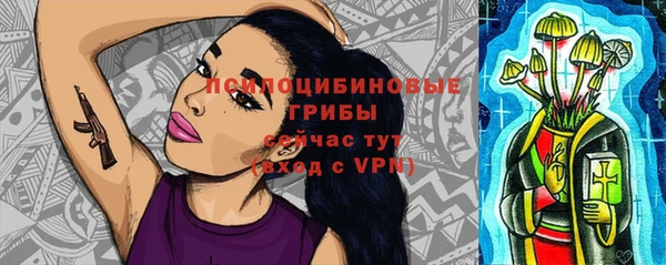 ПСИЛОЦИБИНОВЫЕ ГРИБЫ Зеленокумск