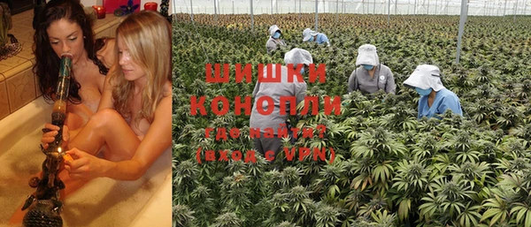 ПСИЛОЦИБИНОВЫЕ ГРИБЫ Зерноград