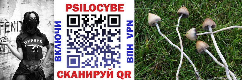 darknet наркотические препараты  Касли  Псилоцибиновые грибы GOLDEN TEACHER 